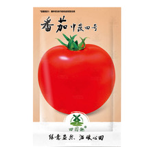 100 Seeds Tomato Seeds World Record Beefsteak Gardening USA SELLER - $6.22