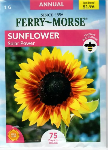 Sunflower Solar Power Flower Seeds Non-Gmo - Ferry Morse 12/24 Fresh Garden - £5.98 GBP