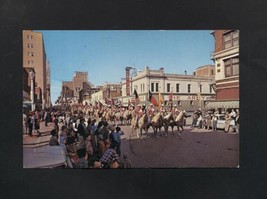 Vintage 1964 Santa Rosa Palomino Club Postcard TX Rodeo Horses Fort Worth - £4.67 GBP