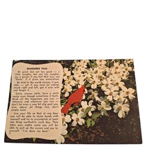 Postcard The Cardinal Bird Words Of Wisdom Chrome Posted - £5.47 GBP