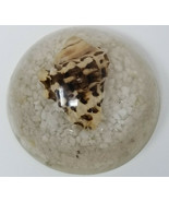 Paperweight Crown Conch Shell Sand Beach Brown White Vintage Acrylic Small - $18.95