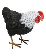 Rustic Western Country Iowa Blue Spotted White Breast Rooster Chicken Fi... - $456.12 MXN