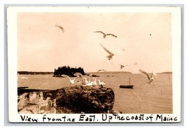 RPPC Vista Dal Est Up Coast Di Maine Gufi Testa Me 1941 Cartolina R20 - £9.59 GBP
