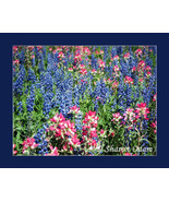 Neue Horizonte by David Dollenmayer - $547.57 MXN