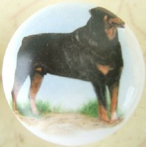 Ceramic Cabinet Knobs Rottweiler #2 DOG - $4.55