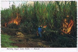Hawaii Postcard Burning Sugar Cane Fields - $2.16