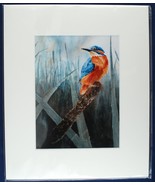 Proud Kingfisher Ruth Nolan Print From Watercolor 10&quot;x12&quot; Matted Art 2015 - $12.00