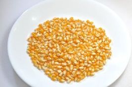 150 Pcs Lady Finger Corn Seeds #MNSB - £11.93 GBP