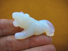 (Y-TIG-560) White Albino TIGER gemstone carving FIGURINE CATS tigers wild cat - £11.01 GBP