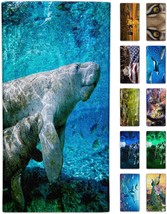 Manatee Beach Towel 30&quot; x 60&quot; Microfiber Sand Free Quick Dry Travel for ... - $46.65