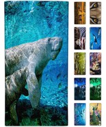 Manatee Beach Towel 30&quot; x 60&quot; Microfiber Sand Free Quick Dry Travel for ... - £34.88 GBP