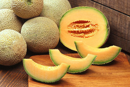 200 Hales Best Jumbo Cantaloupe Orange Muskmelon Cucumis Melo Melon Fruit Seeds  - $15.20