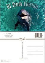 Florida Dolphin Natives Are Always Friendly &quot;Hi From Florida&quot; VTG Postcard - £7.39 GBP