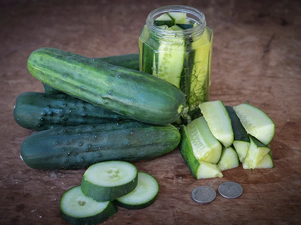 Marketmore 76 Cucumber Seeds | NON-GMO | Heirloom | Fresh Garden Seeds - $6.99