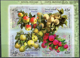 Russia. 2019. Native Flora. Apple varieties (MNH OG **) block of 4 stamps - £3.38 GBP