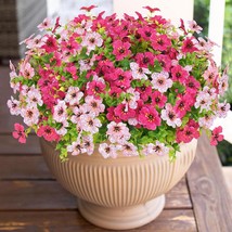 Elyum Artificial Flowers For Outdoors, 9 Bundles Artificial Plants, Mixed Color - $33.98