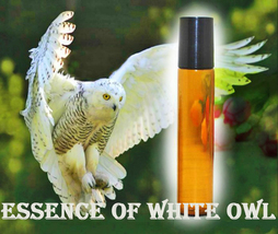 Haunted 27x Essence Of White Owl Clear Neg Space Heal Oil Magick Witch CASSIA4 - £15.92 GBP