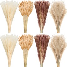 400 Pcs Dried Pampas Grass Decor Bulk 17 Inch White Dried Reed Grass Bun... - £52.41 GBP