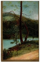 Dirt Road Alongside A River Monroeville Ohio Postcard Posted 1910 - $5.16
