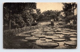 Lily Pond at Como Park St Paul Minnesota MN UNP Unused  DB Postcard E16 - £3.83 GBP