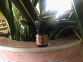 doTERRA Frankincense 5 mL Ancient Oils Collection  NEW &amp; SEALED - $40.50 CAD