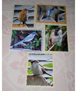 Bird Greeting Note Card Lot Of 5 Hand Crafted Custom 5.5 X 4.5 Blank Ins... - £15.91 GBP