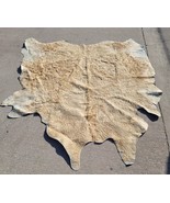 Tan and Ivory Cowhide Rug Giant Size Approximately 8&#39; x 6.5&#39; Worn *LOCAL... - $250.00