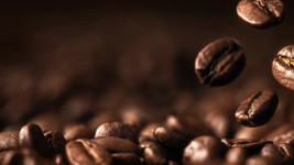 2025  PLANTATION BLEND -  1 bag 8 ozs - FRESH ROASTED  WHOLE BEAN COFFEE - $9.85