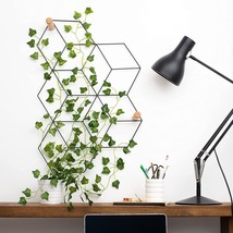 Bloom St. Create &amp; Craft Hanging Trellis for Climbing Plants - £8.00 GBP