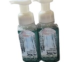 Bath &amp; Body Works Fresh Sparkling Snow Gentle Foaming Hand Soap 8.75 fl ... - $21.99