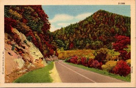 S-1088 No Location Country Road Trees Autumn Fall 1930-45 Vintage Postcard - £7.05 GBP