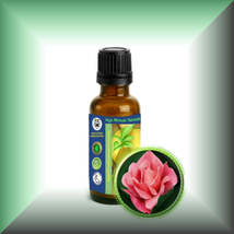 Tea Rose Absolute Oil (Rosa Odorata, Rosa Hybrida) - $112.94 MXN+