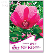 Hibiscus Moscheutos Flower Original Package 25 seeds - $8.98