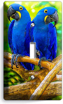 Hyacinth Tropical Blue Macaw Birds Amazon Parrots 1G Light Switch Wall Plate Art - £9.63 GBP