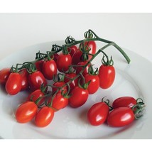 15 organic mini pearl grape tomato seeds, - £4.96 GBP