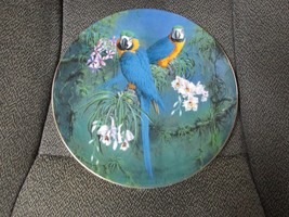 &quot;&quot;BLUE &amp; YELLOW MACAWS&quot;&quot; - WEDGWOOD BONE CHINA PLATE - ENGLAND - £10.17 GBP