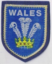 Wales Patch Badge Handpainted Felt Backing 2.5&quot; x 3&quot; - $11.87