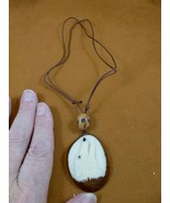 tne-wol-773a) white howling Wolf TAGUA NUT Necklace Carving Vegetable wi... - $28.85 CAD