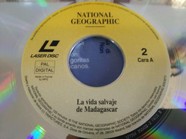 The Wild Life of Madagascar Sharks - Laserdisc LD National Geographic Video - $497.17 MXN