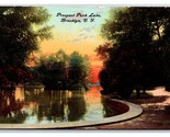 Prospect Park Lake Brooklyn New York NY 1908 DB Postcard T5 - $4.90