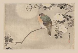 Bird and Cherry Blossoms - Art Print - £17.53 GBP+