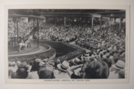 Chimpanzee Arena Show Crowds Of People St louis Zoo Monkey 1947 Vintage Unposted - £13.65 GBP