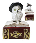 White Snow Owl With Witch Hat Sitting On Triple Moon Spell Book Trinket Box - $310.54 MXN