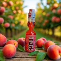 Hatakosen Japanese Peach Ramune Marble Soda - 6.6 fl oz (200ml) - $91.72 MXN