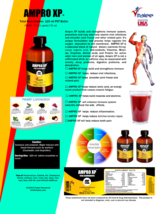 Ampro XP Super Energy Booster Pack of 8 Bottles. (120 ml ) image 2