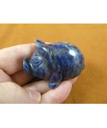 (Y-PIG-PO-714) blue Sodalite ROLY POLY POT BELLY PIG gemstone FIGURINE c... - $35.05 CAD
