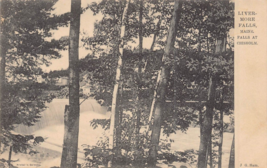 Livermore Falls Maine ~Presso Chisholm~ 1900s Cibo Serie Foto Cartolina - £6.75 GBP