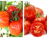 90 Seeds Tomato Striped Cavern Schimmeig Stoo Fresh Garden - £23.54 GBP