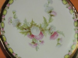 Hand Painted Prussia 9.25&quot; Plate marked M.W Co 19th Century Mitchell Woo... - $26.99