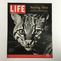 Life Magazine Newspaper Insert Ocelot Staying Alive April 21 2006 No Label - £9.07 GBP